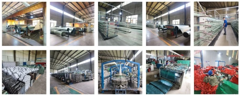 product-1200-484 product-1200-484